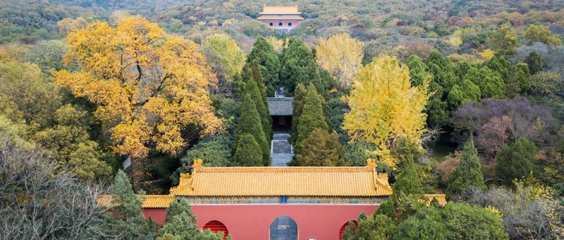 探寻金陵之美——南京旅游景点大全